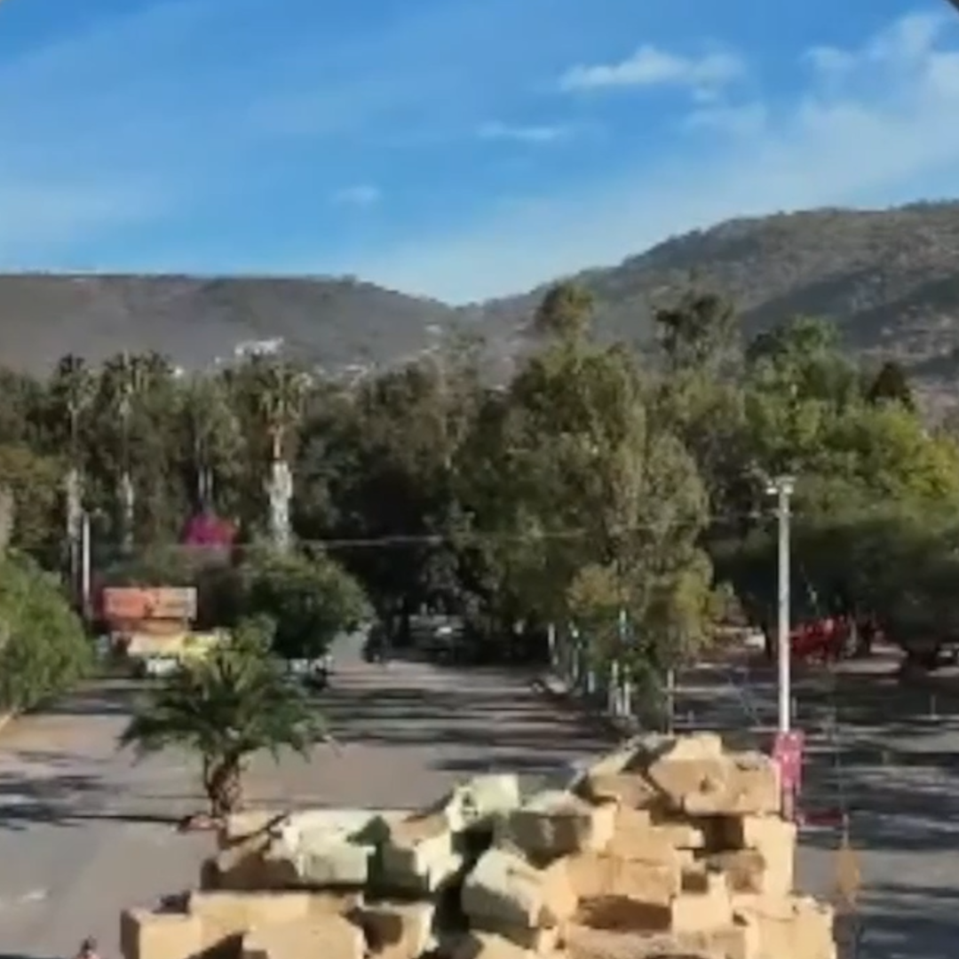 Mueren Dos Monos Araña en el Zoológico de León, Guanajuato